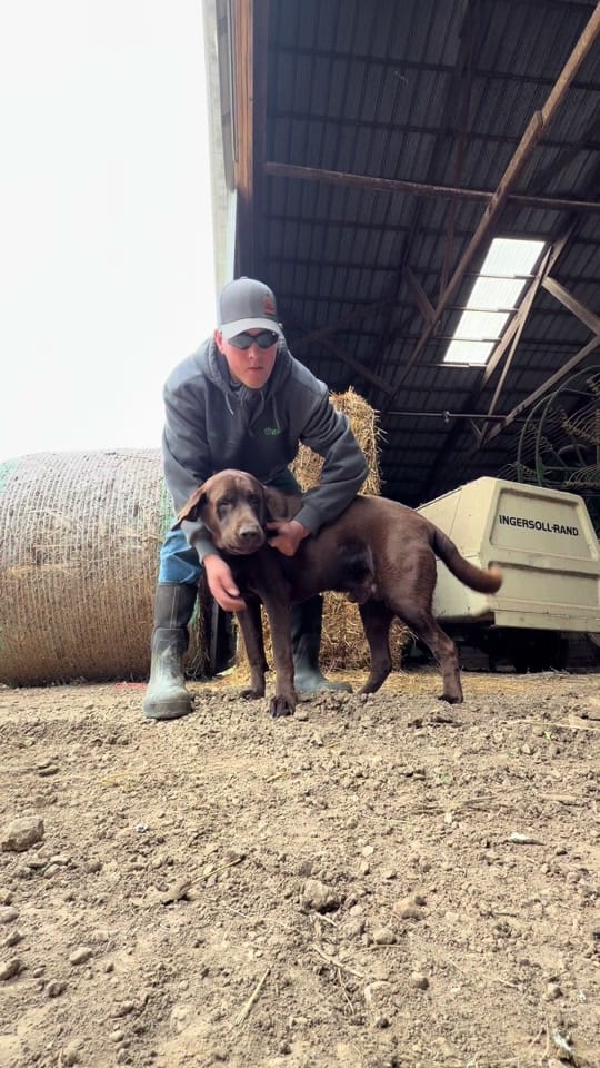 Post 6 by FarminwithTrev on TikTok (video)