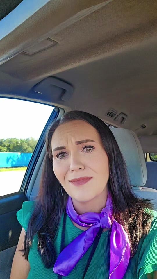Post 3 by fairygodmotherfairytales on TikTok (video)