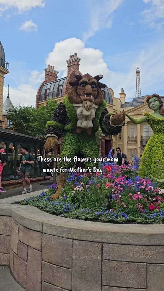 Post 9 by fairygodmotherfairytales on TikTok (video)