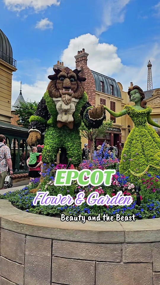 Post 6 by fairygodmotherfairytales on TikTok (video)