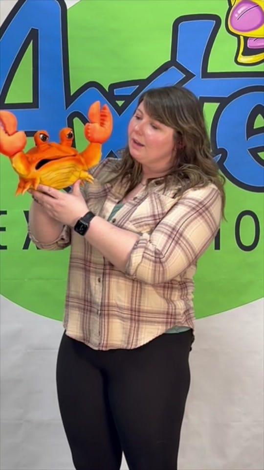 Post 8 by Meghan Casey on TikTok (video)