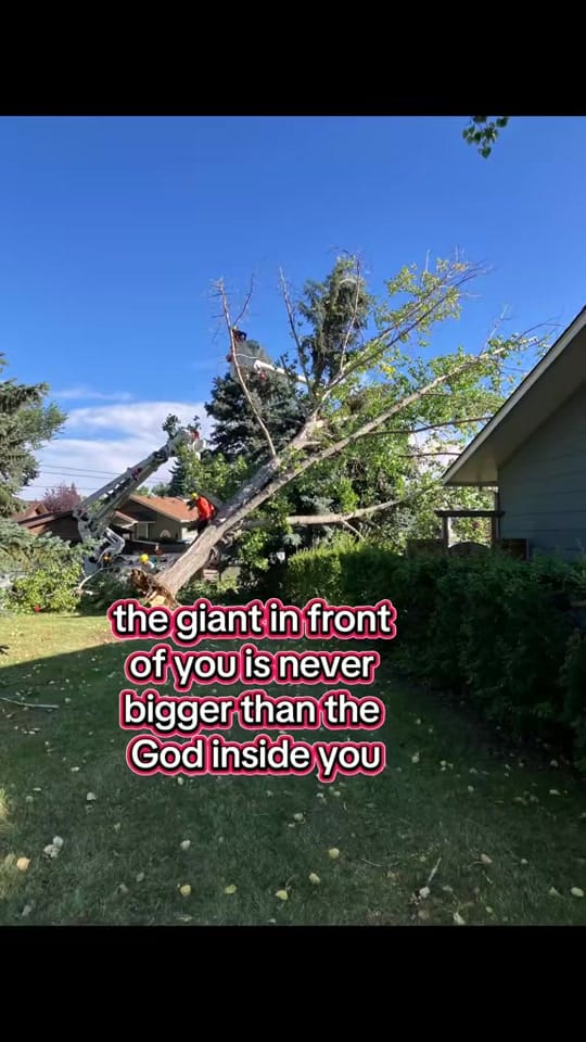 Post 6 by Linda Rose on TikTok (video)