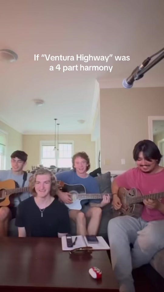 Post 8 by Thistle Ridge Band on TikTok (video)