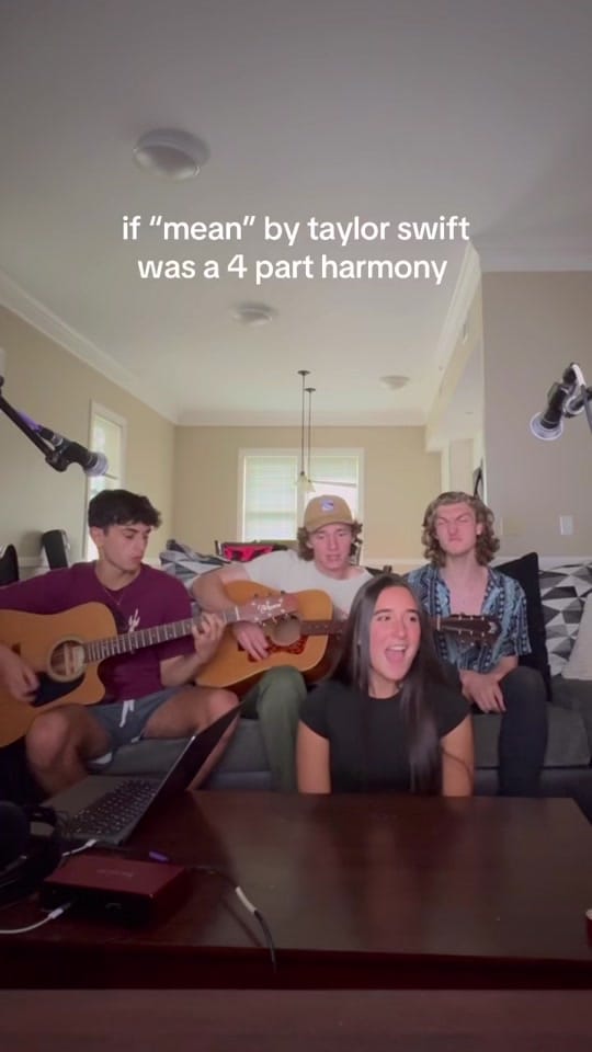 Post 10 by Thistle Ridge Band on TikTok (video)