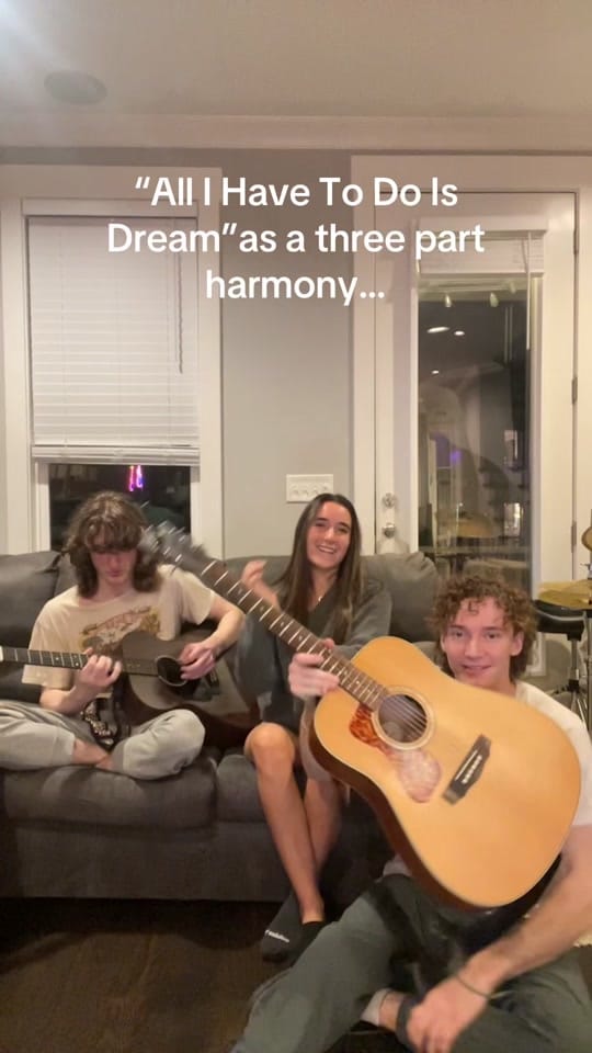 Post 4 by Thistle Ridge Band on TikTok (video)