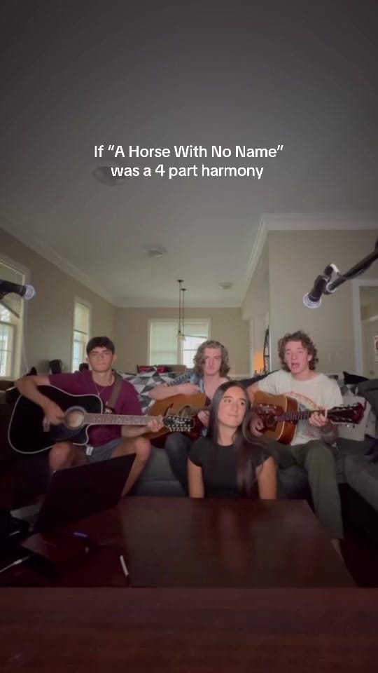 Post 9 by Thistle Ridge Band on TikTok (video)