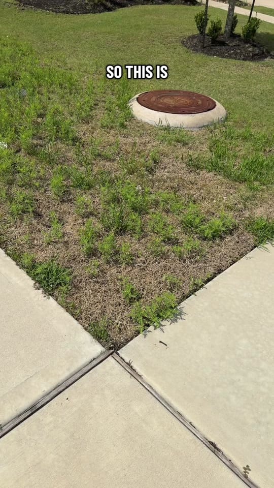 Post 2 by Him on TikTok (video)