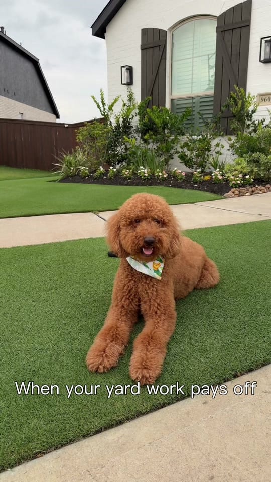 Post 8 by Him on TikTok (video)