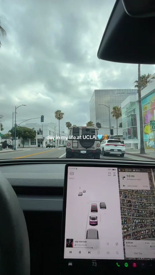 Post 6 by Chelsea Stone on TikTok (video)