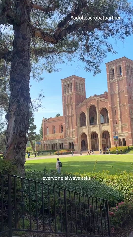 Post 8 by Chelsea Stone on TikTok (video)