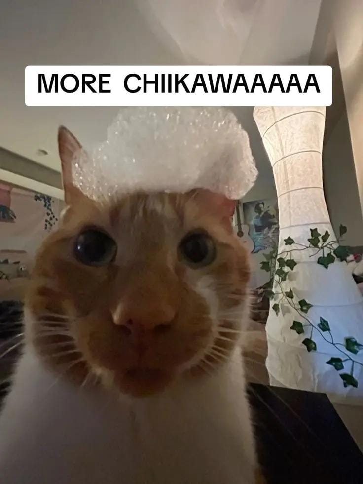 Post 1 by HOUWUSTON on TikTok (video)