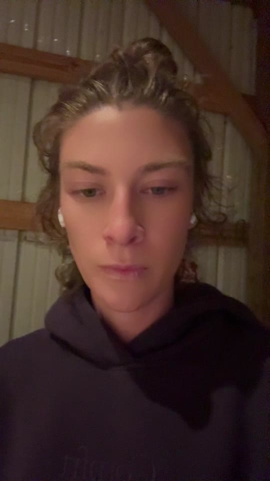 Post 8 by Dauntless Performance Horses on TikTok (video)