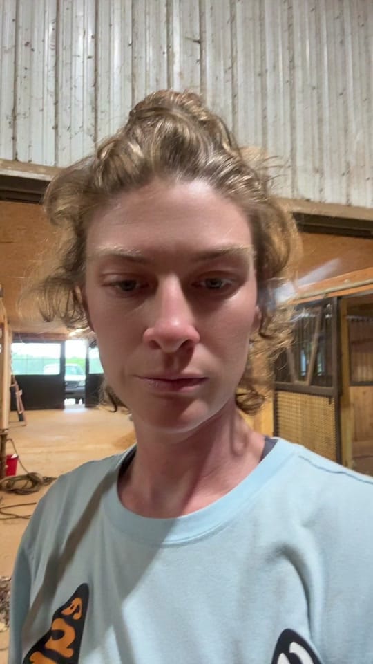 Post 5 by Dauntless Performance Horses on TikTok (video)