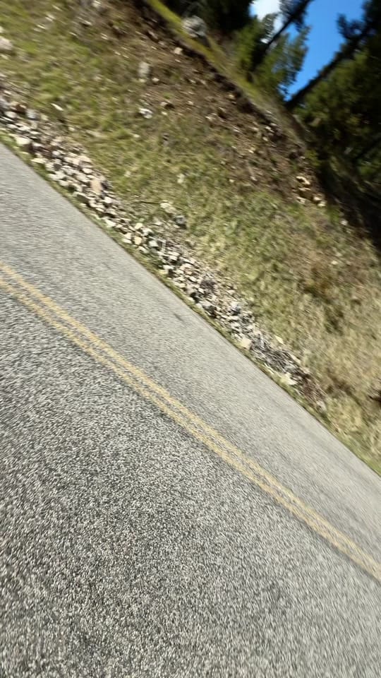 Post 5 by Dani 3x Paralympian🇺🇸 on TikTok (video)