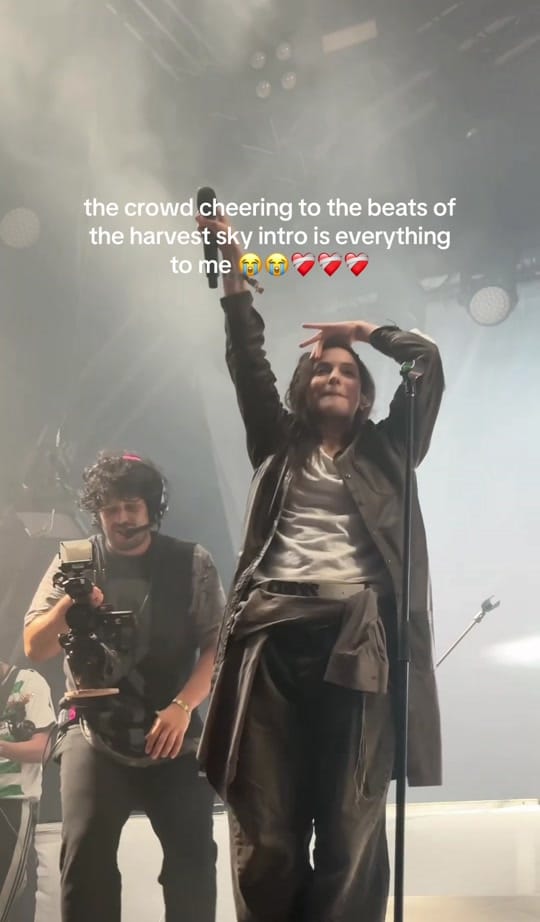 Post 8 by anabel on TikTok (video)