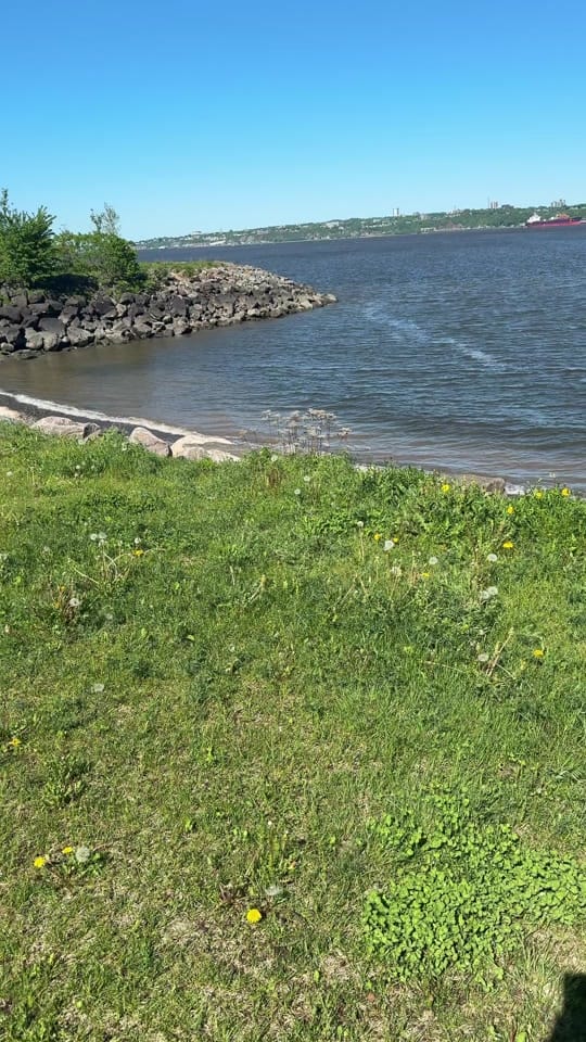 Post 10 by Mimyra 🇨🇦 on TikTok (video)