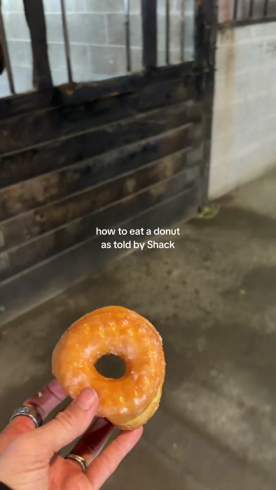 Post 3 by chelsea3b on TikTok (video)
