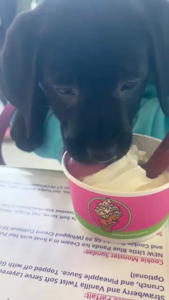 Post 5 by King Kone🍦💕 on TikTok (video)