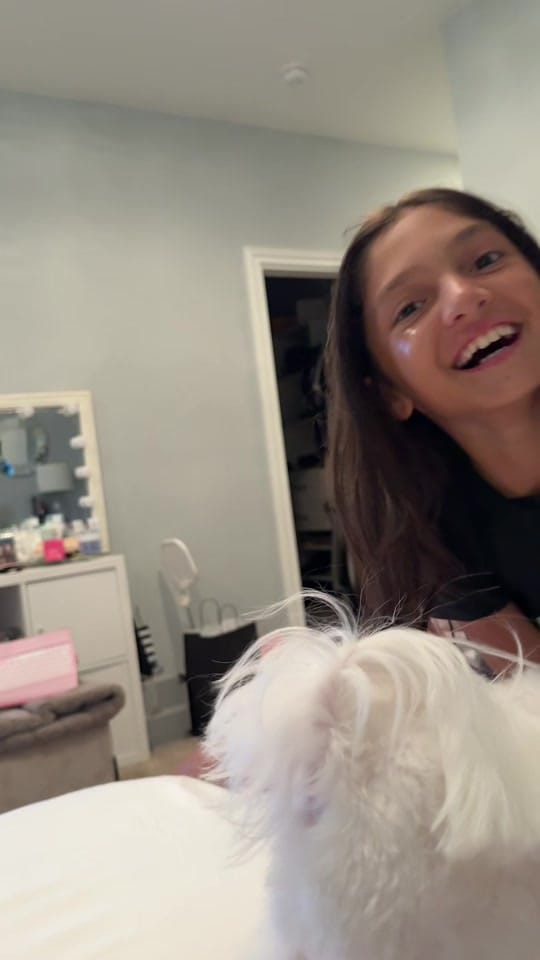 Post 8 by Elnaz.Taghvaeii on TikTok (video)