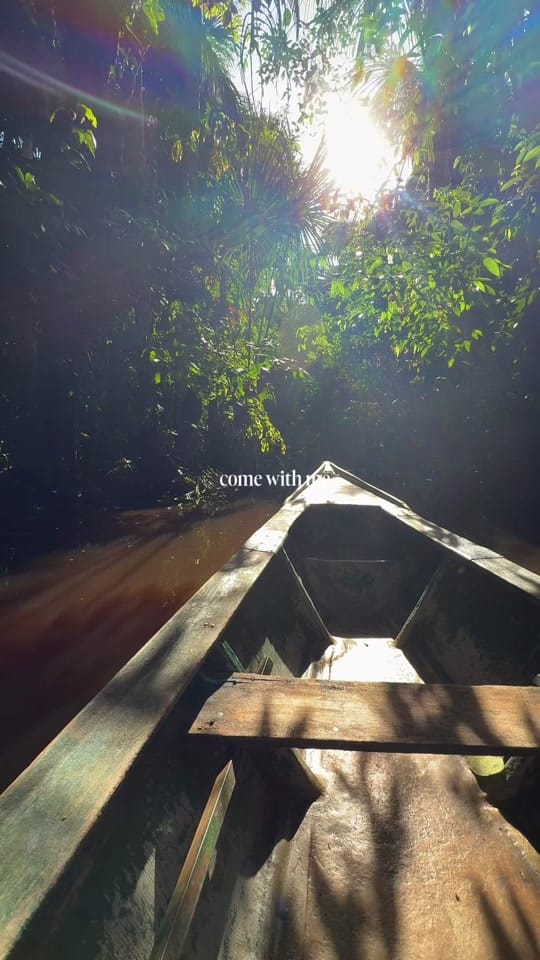 Post 7 by angela on TikTok (video)