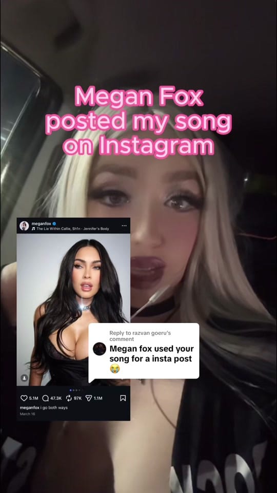 Post 5 by The LiE Within CalLiE on TikTok (video)