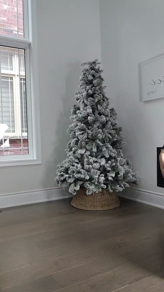 Post 8 by Bercovici Family on TikTok (video)