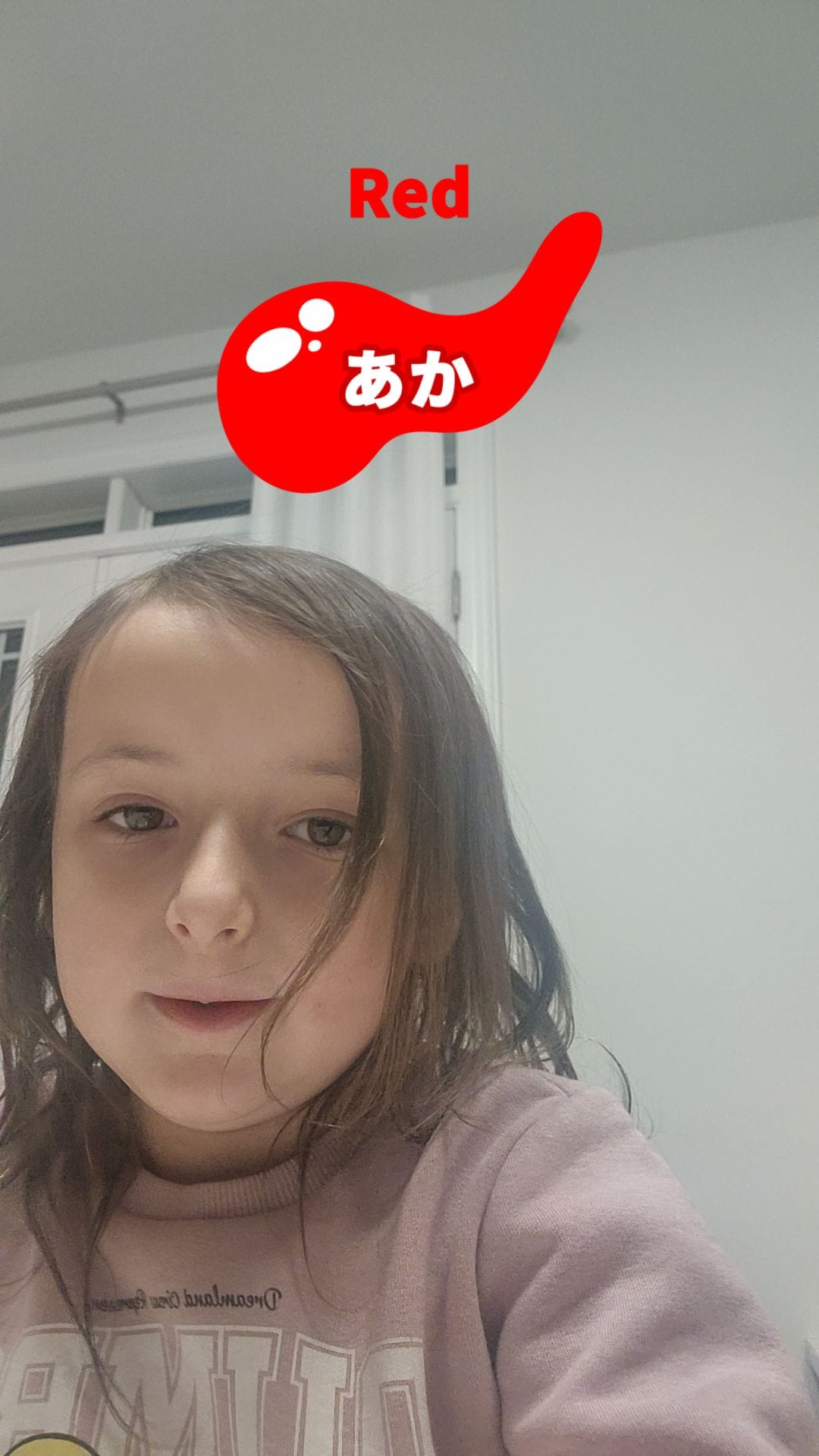 Post 5 by Bercovici Family on TikTok (video)