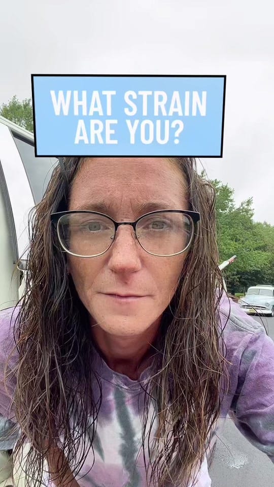 Post 8 by Chelsea Wilson on TikTok (video)