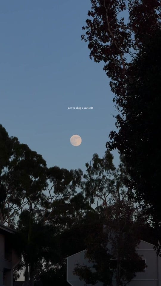 Post 6 by Monica Robles on TikTok (video)