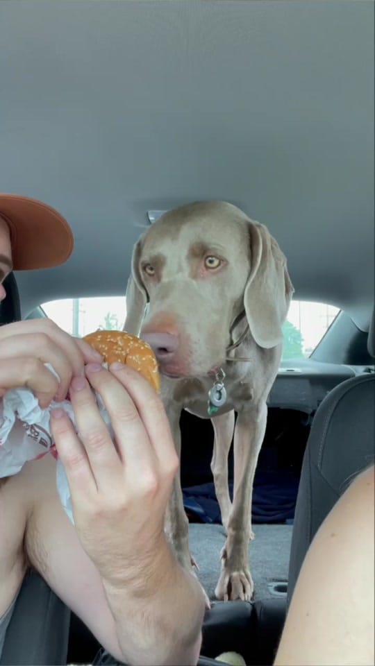 Post 7 by Chelsea B on TikTok (video)