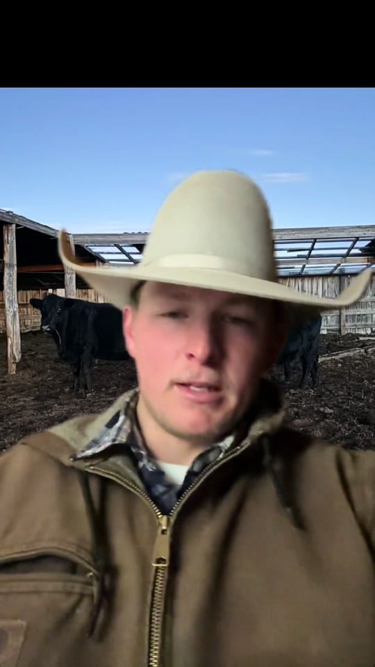 Post 1 by Ken Raymond on TikTok (video)