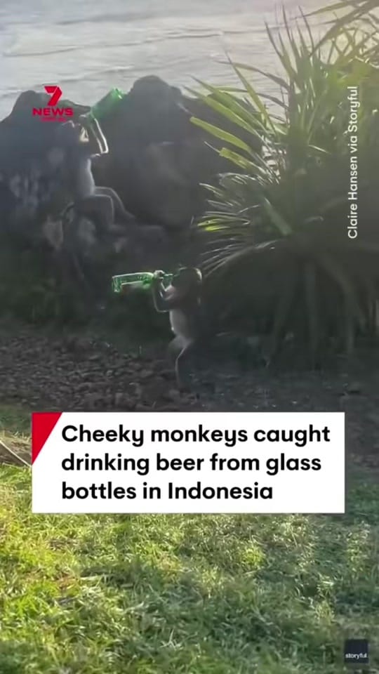 Post 1 by Dakota Mick on TikTok (video)