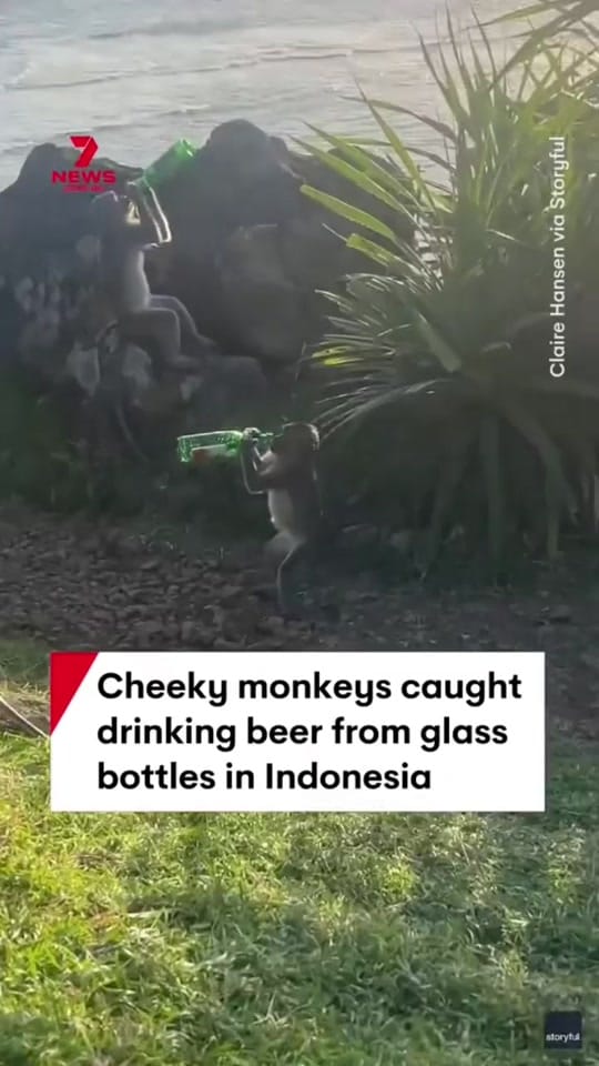 Post 2 by Dakota Mick on TikTok (video)