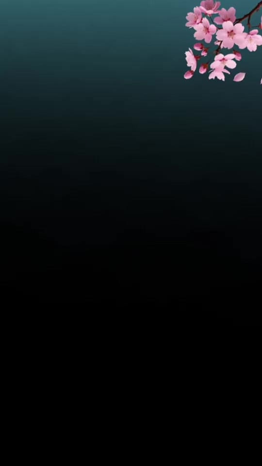 Post 7 by phiona batista  on TikTok (video)