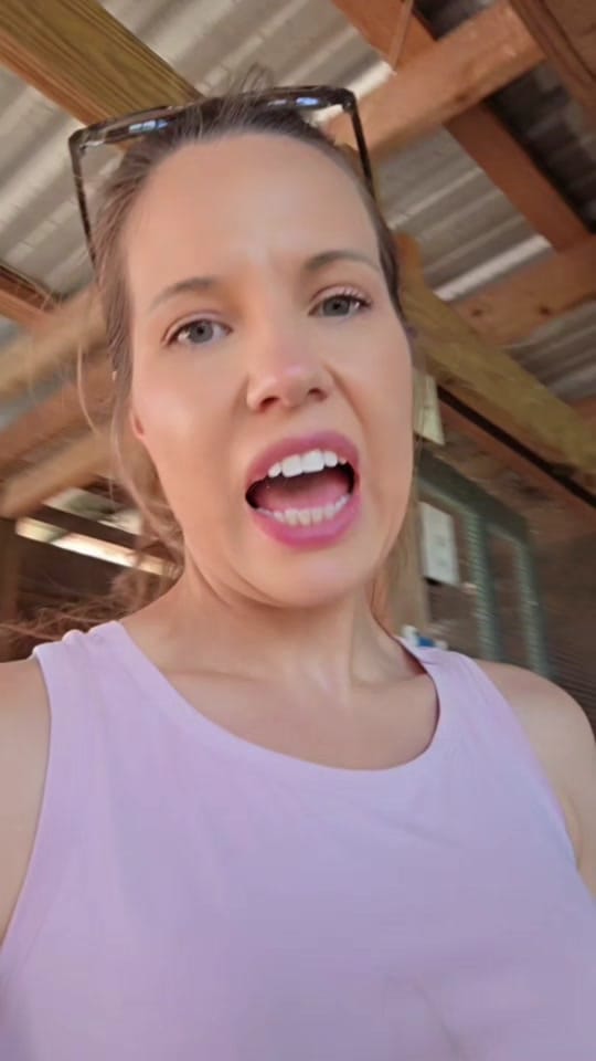 Post 3 by The Fuster Cluck 🐓 on TikTok (video)