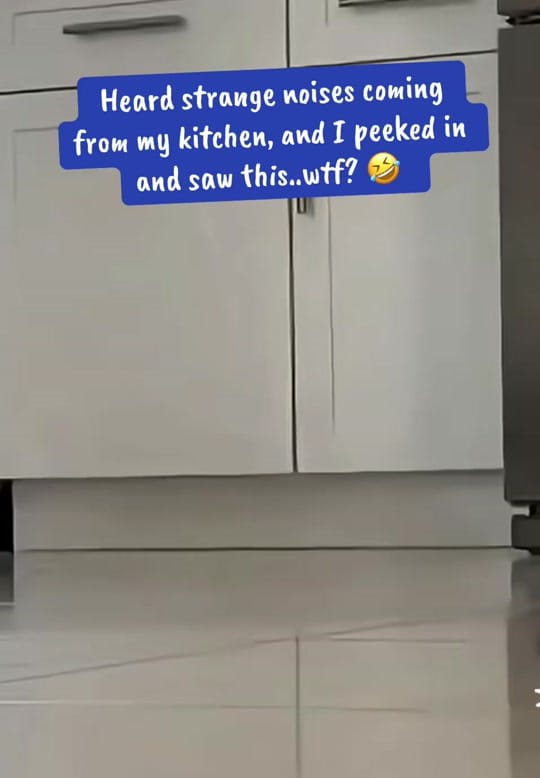Post 1 by simplyjedi on TikTok (video)