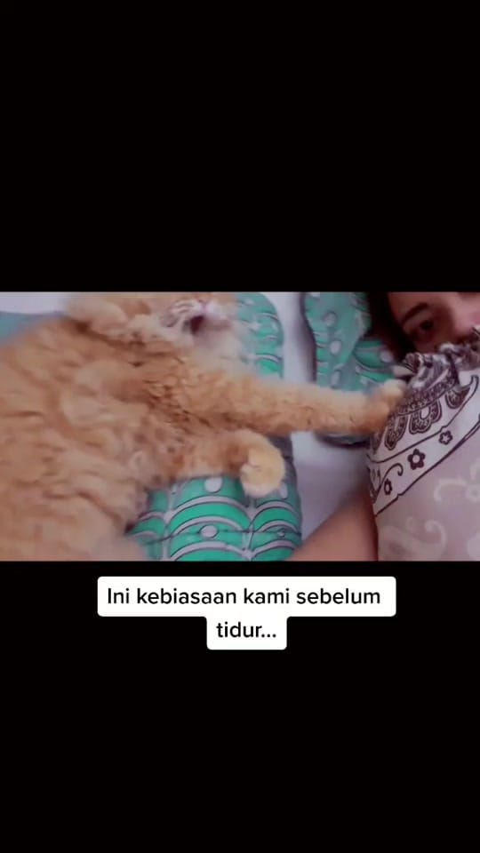Post 4 by Chels&Mom on TikTok (video)