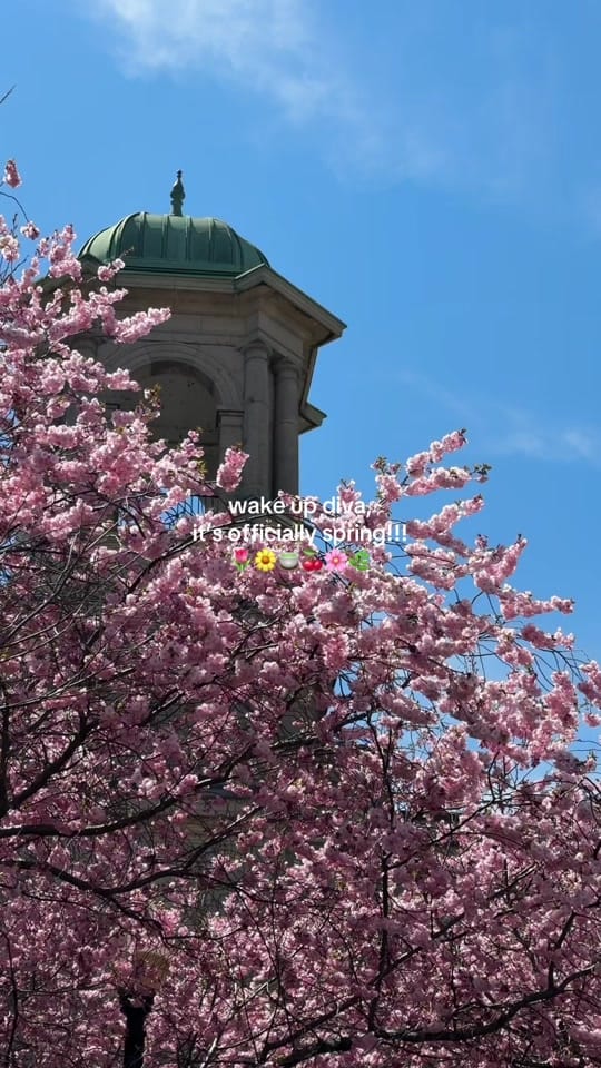 Post 2 by daria nova 🎀 on TikTok (video)