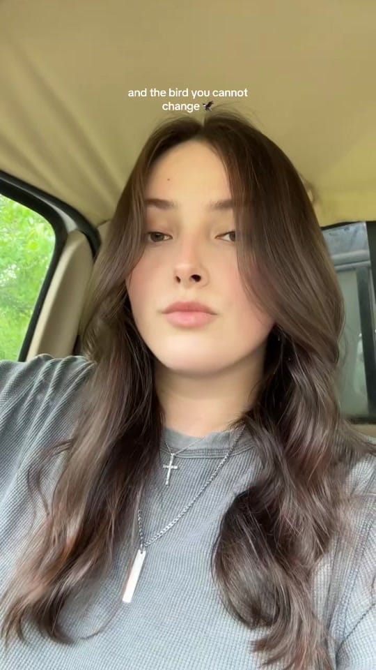 Post 10 by The Jensen Sisters on TikTok (video)