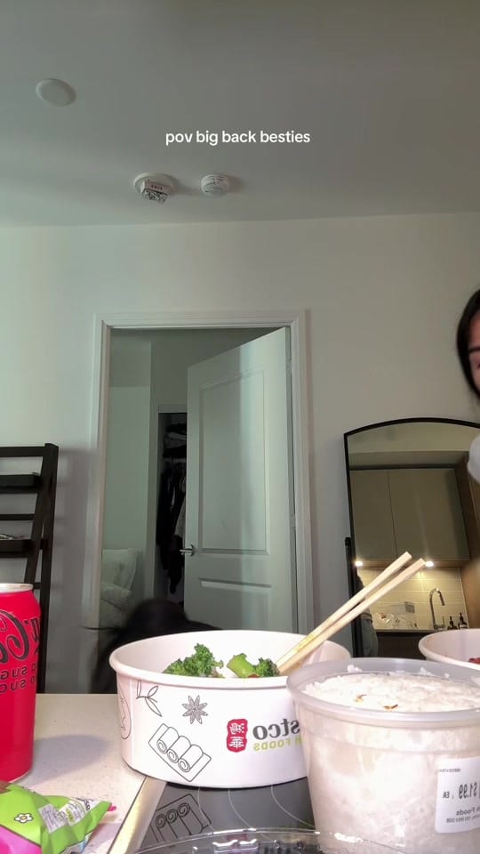 Post 6 by fiona anne on TikTok (video)