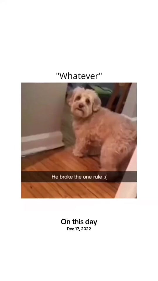 Post 2 by maestro254_ on TikTok (video)