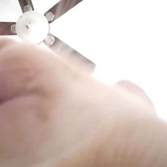 Post 10 by Mary Hall on TikTok (video)