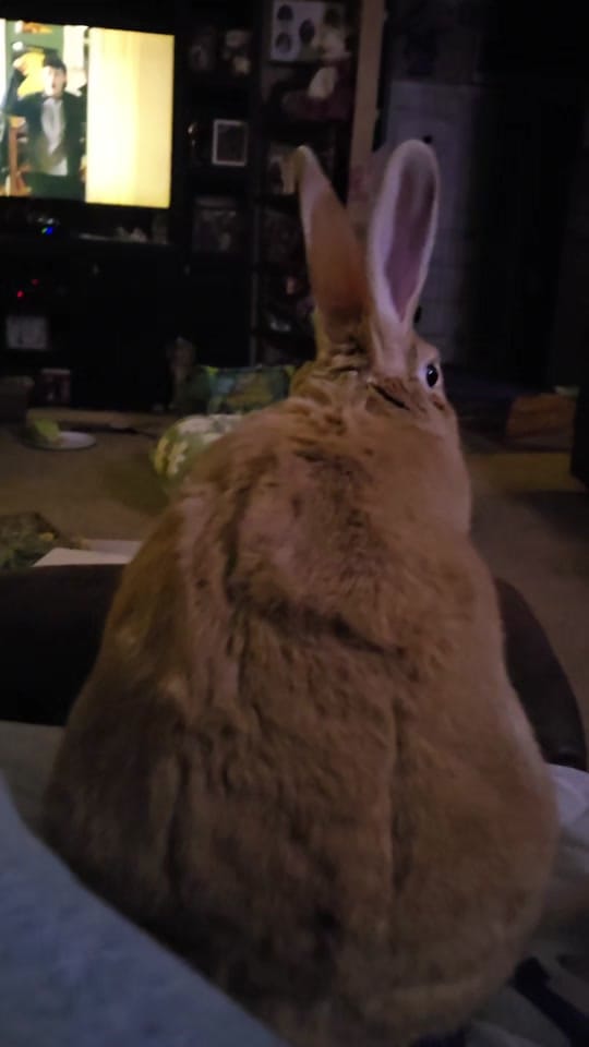Post 1 by Mary Hall on TikTok (video)