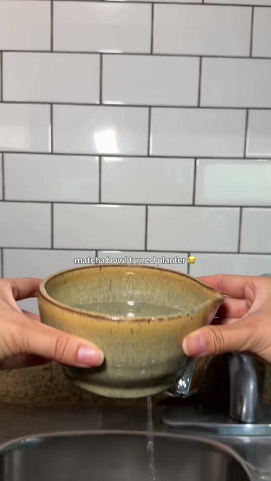 Post 3 by Linda Zhang on TikTok (video)
