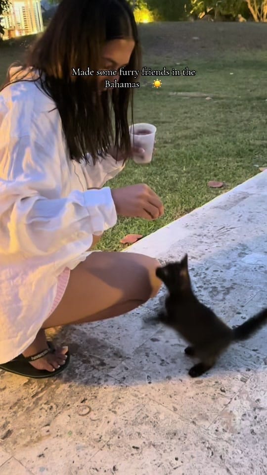 Post 2 by Sri on TikTok (video)