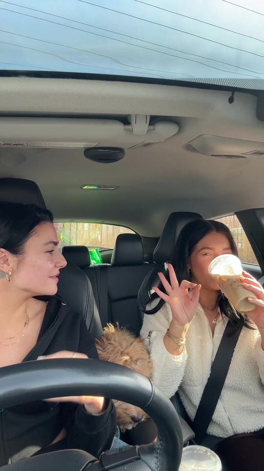 Post 8 by nikkifeig on TikTok (video)