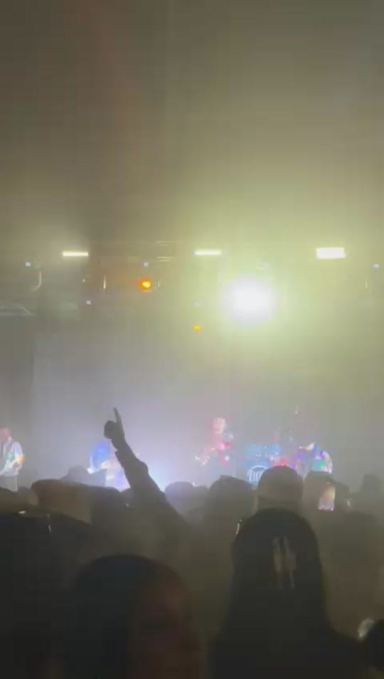 Post 1 by lucypaco89 on TikTok (video)