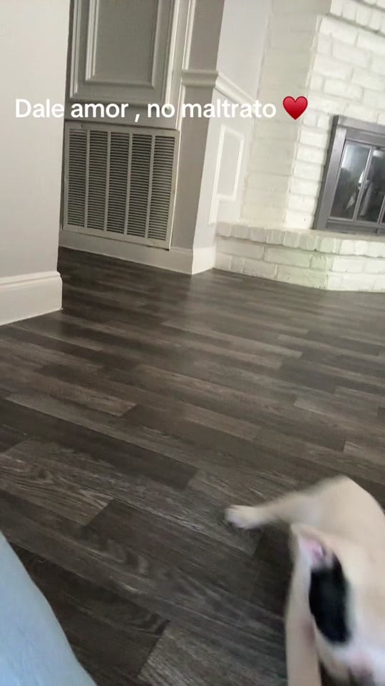 Post 2 by A3vi2 on TikTok (video)