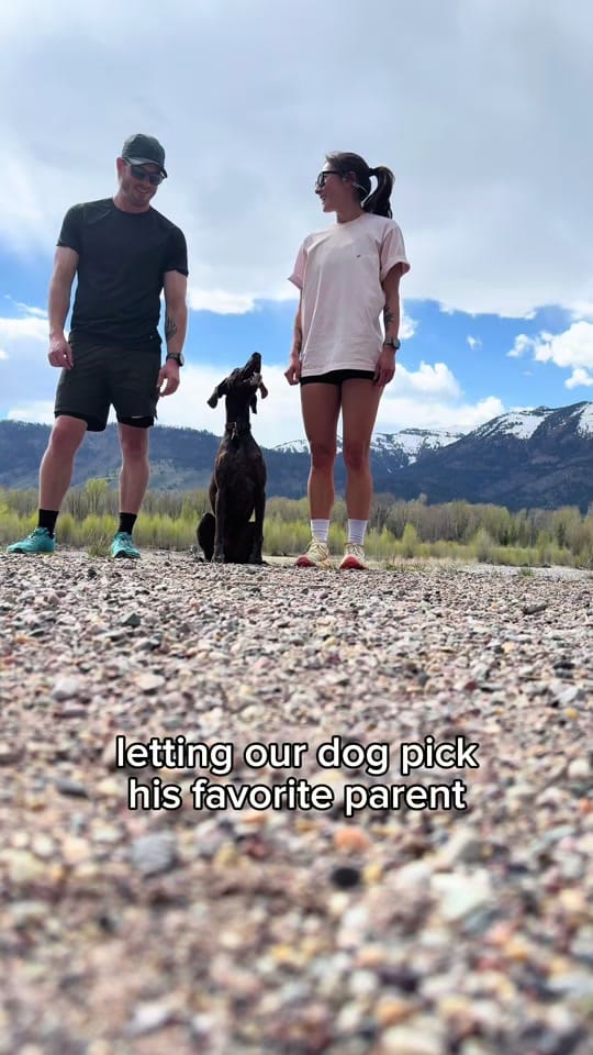 Post 3 by chelsea on TikTok (video)