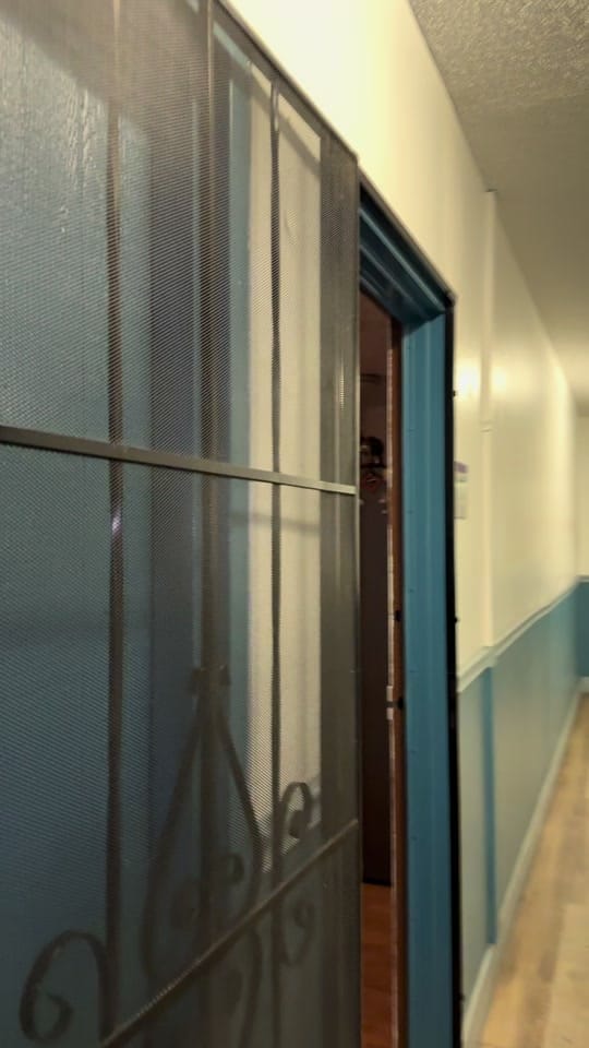 Post 3 by kiwis_surprise on TikTok (video)